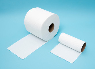 Two toilet paper rolls -  full and running out comparison 