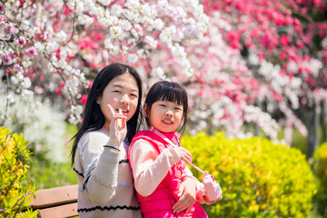 満開の桃の花を見ている子供姉妹二人