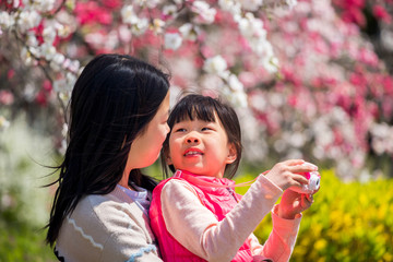 満開の桃の花を見ている子供姉妹二人