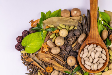 Top view of variety of spices with green leaves and herbal medicines in wooden spoon on white background