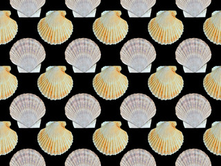 Shells of scallop, seamless pattern.