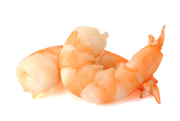 boiled shrimp