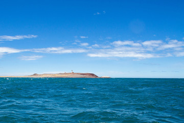 Pinguino Island.