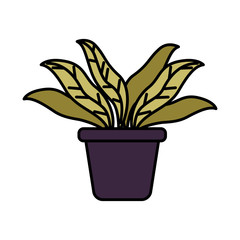 houseplant in pot isolated icon