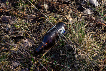 Glass trash in the forest. Tucked nature. Glass container lying in the grass.