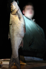 Fishing in the delta of the Volga River on the river Baklanya. The Astrakhan region. Russia.