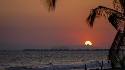 Beautiful sunset on the beach with the silhouette of the palm trees 