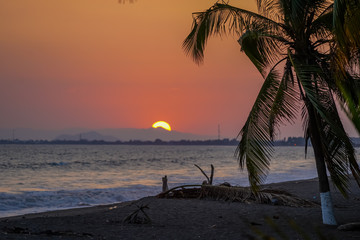 Beautiful sunset on the beach with the silhouette of the palm trees 