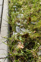 Reste von Schnee auf dem Gras