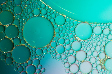 art photo abstract background of bubbles of different sizes on a green background