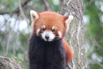 風太くんじゃありませ～ん。