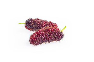 Mulberry berry with leaf isolated on white background macro,mulberries fruit and mulberry leaf on...