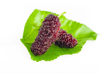 Mulberry berry with leaf isolated on white background macro,mulberries fruit and mulberry leaf on...