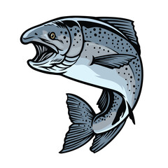 chinook salmon fish in hand drawn style