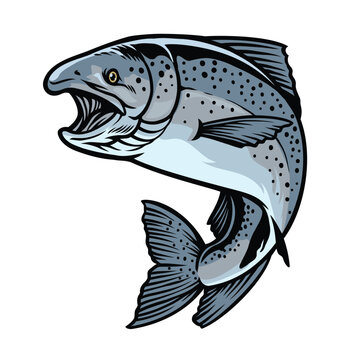 recommend clip art: chinook salmon fish in hand drawn style
