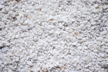 white rice texture