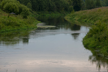 summer river and green trees