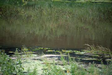 Natural landscape of  the fishing place