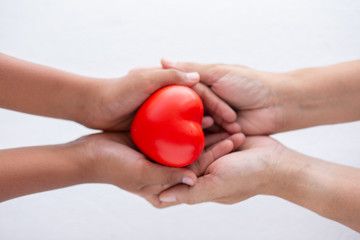 family holding  heart  red symbol valentine romantic  emotion happy,