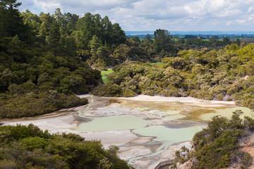 Frying pan and lake Ngakoro view in Waiotapu thermal wonderland, also Wai-O-Tapu, Rotorua, north island, New Zealand