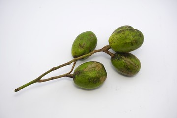 Spondias dulcis (kedondong)