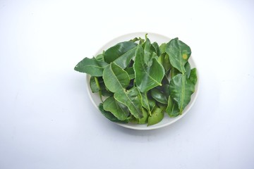 Spondias dulcis (kedondong) leaf