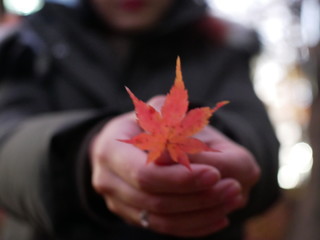 young woman holding maple leaf