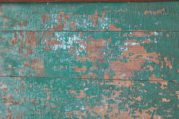 Fototapeta premium green painted wooden wall. the paint peeled off. the paint is cracked. non-residential, abandoned premises