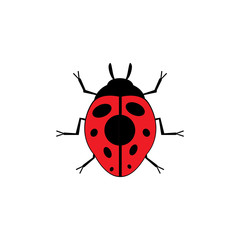 Fototapeta premium bug vector illustration icon design template