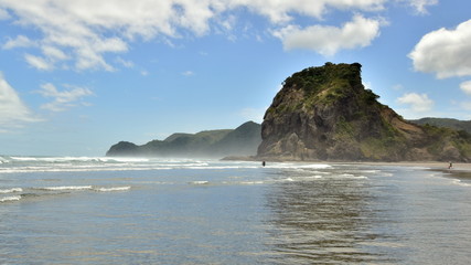 Fototapeta na wymiar Dangerous beach for Swimming close Auckland Piha beach