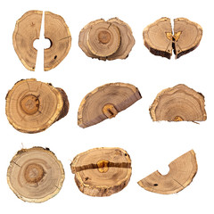 Round saw cut oak trunk on a white isolated background