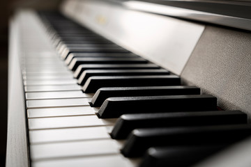 Piano keyboard - 336316409