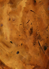 Abstract hand-drawn background, acrylic and watercolor texture. Hand-painted rust effect and multi-colored stains

