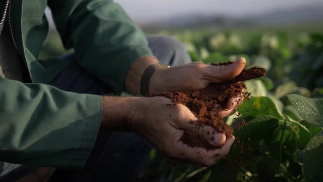 Man working in the ground / earth with hands