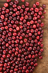 close up of fresh coffee beans for background  