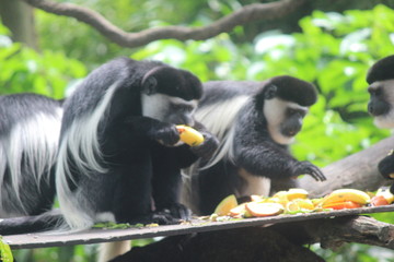 お前は悪くないって