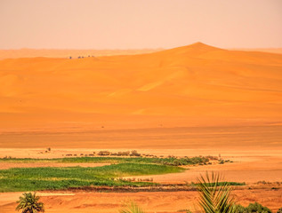 Fototapeta na wymiar Timimoun, Algerian Sahara
