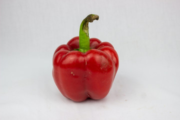 red bell paprika on white background