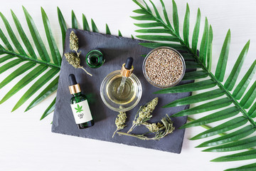 Green bottles of medical CBD oil with cannabis seeds and dried buds top view on white background. Alternative medicine concept.