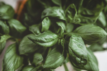 fresh green basil leaves in basket on white wooden background, close-up, top view