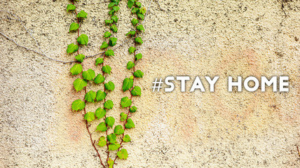 Texture Background for STAY HOME hash tag concept