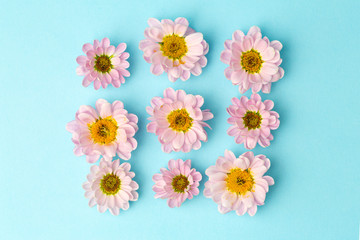 Buds of pink flowers with pink petals on a colored minimal background. Floral background concept