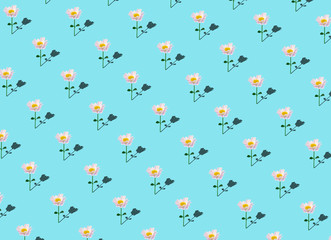 Floral minimal background. Flowers on a colored background. Creative minimal background