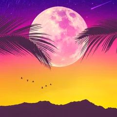 Schilderijen op glas Silhouette palm tree with bird flying on sunset sky and full moon star abstract background. Copy space of summer vacation and travel adventure concept. © tonktiti