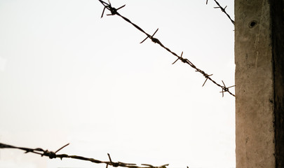 barbed wire and pile on white background, space for text in left side, structure made of very sharp wire that stops people or vehicles from entering an area