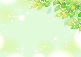 きらきら新緑フレーム03