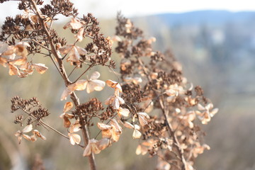 Nowe życie © Patrycja