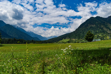 Beautiful view of a Golf Course at Pahalgam Kashmir,India,