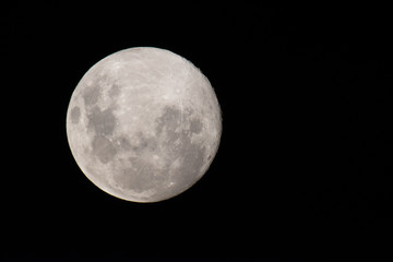 full moon in the night