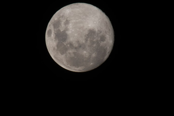 full moon in the night